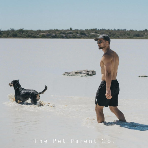 Dog Dad Vintage Cap - Windsor - Charcoal