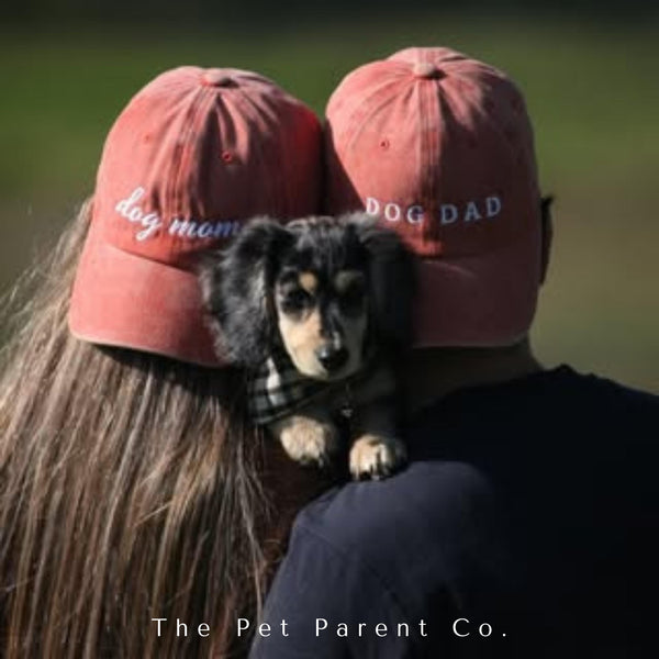 Dog Dad Vintage Cap - Windsor - Orange
