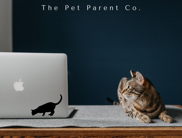 Custom 15cm Cat Silhouette Sticker - Pack of 2